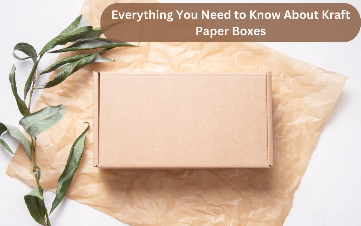 Everything You Need to Know About Kraft Paper Boxes